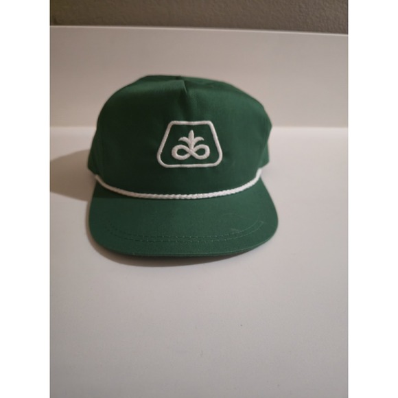 The Unbranded Brand Other - NWOT‎ Pioneer Green Snapback Hat